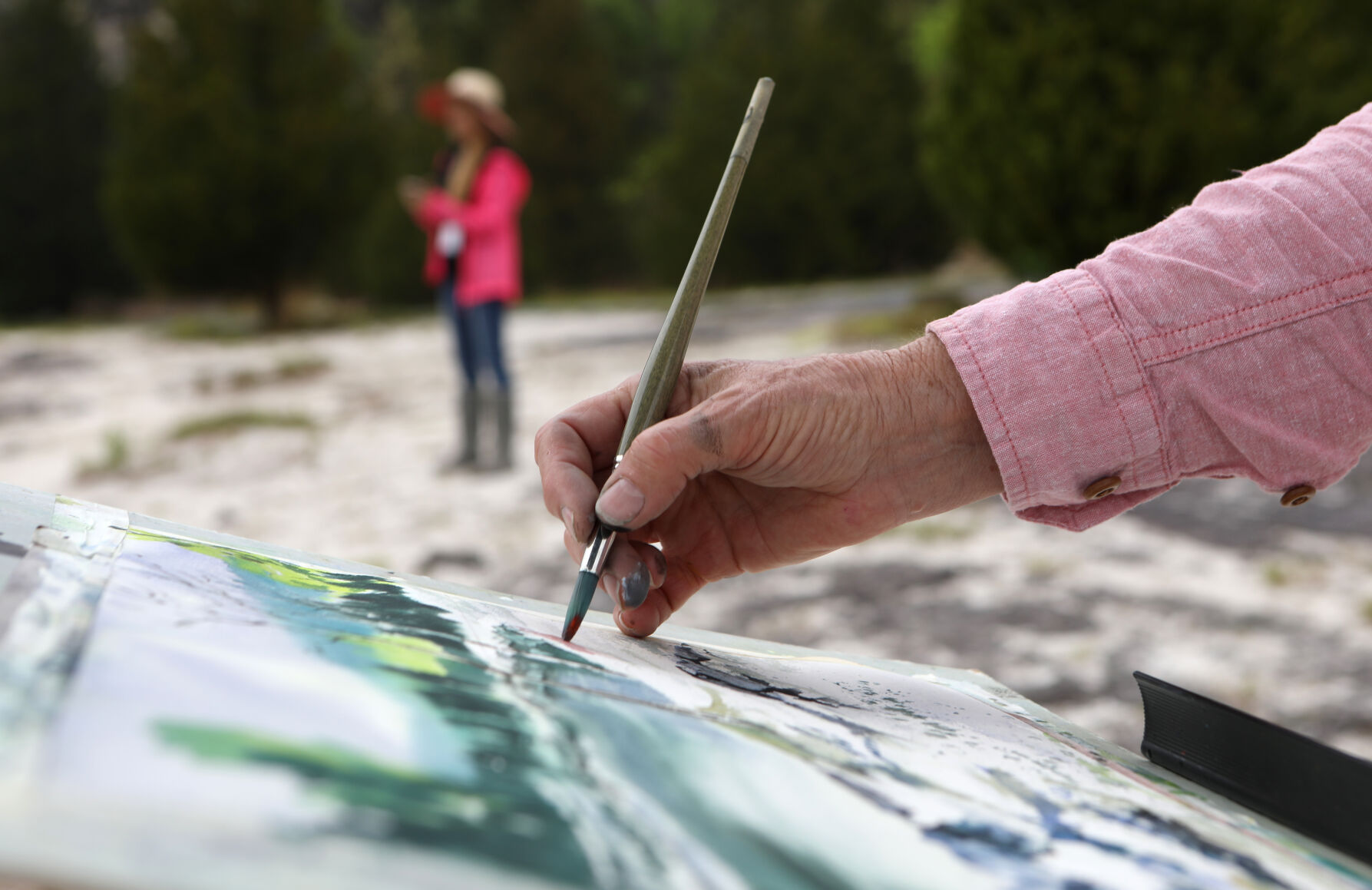 Cynthia Schanink paints with watercolor